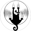 Dan Mihalache profile picture